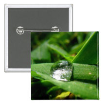 Morning dew water bubble #2 pinback buttons