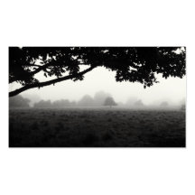 Morning Fog Emerging From Trees Business Cards