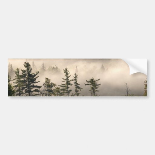 Morning Fog in the Adirondacks Bumper Stickers