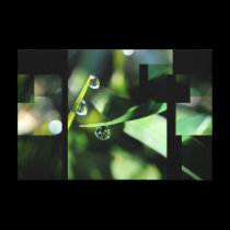 Morning freshness canvas prints