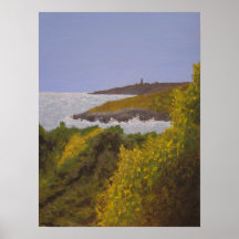 Morning View of Baker's Island Print