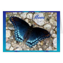 Morphing Butterfly Mother's Day Cards