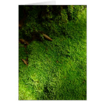 Moss-covered Tree Greeting Cards