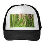 Moss On The Tree Bark Hat
