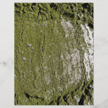 Moss Wood Texture Flyer
