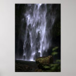 Mossy Rock at Multnomah Falls Poster