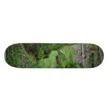 Mossy Trees Forests Woods Custom Skate Board