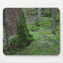 Mossy Trees Forests Woods Mouse Pad