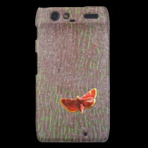 Moth on tree bark casemate cases