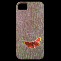 Moth on tree bark casemate cases
