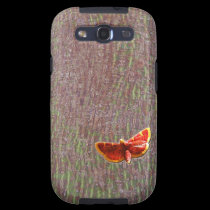Moth on tree bark casemate cases