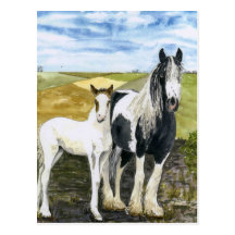 Mother and Foal Postcard