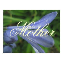 Mother Elegant Blue Flower Postcard