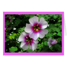 Mother`s day greeting card