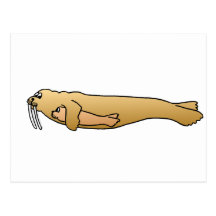 MOTHER WALRUS WITH BABY POSTCARDS