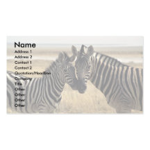 Mother zebra and young zebra business card templates