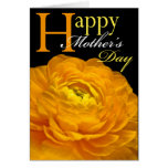 Mother's Day Cards cards