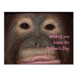 Mother's Day Kisses postcards
