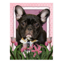 Mothers Day - Pink Tulips - Frenchie - Teal Postcards