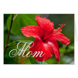 Mothers Day Red Hibiscus Tropical Flower cards