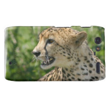 Motorola Razr Case - Customised Motorola Droid RAZR Covers