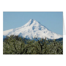 Mount Hood Greetings Greeting Cards