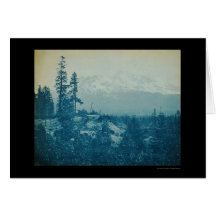 Mount Shasta Panorama 1899 Cards