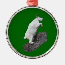 mountain goat ornament