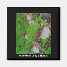 Mountain Lady Slippers Magnet.