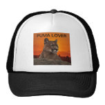 Mountain lion at sunset mesh hats