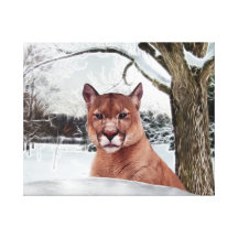 Mountain lions in snow gallery wrapped canvas