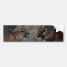 Mountain lions reverence bumper sticker