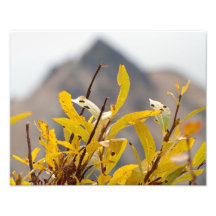 Mountain of Leaves Art Photo