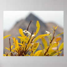 Mountain of Leaves Poster
