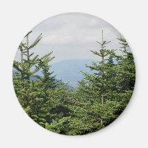 Mountain Pines Fridge Magnet