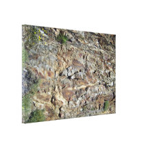 Mountain Rock Wall with Tiny Yellow Flowering Plan Canvas Prints