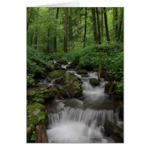 Mountain Stream Cards
