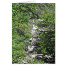 Mountain Stream Greeting Cards