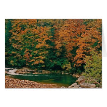 Mountain Stream Greeting Cards
