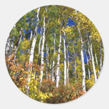 mountain view round sticker