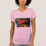 Mouse cone (Conus mus) Shell Tshirt