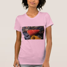 Mouse cone (Conus mus) Shell Tshirt