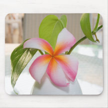 Mouse Pad - Frangi Panni