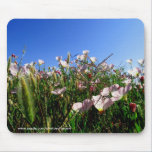 Mousepad - California wildflowers mousepads