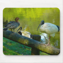 Mousepad Duck And Ibis