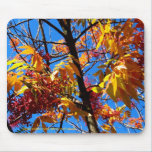Mousepad - Fall foliage mousepads