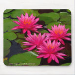 Mousepad - Water lilies at San Diego Balboa Park mousepads