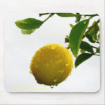 Mousepad - wet lemon in the rain mousepads