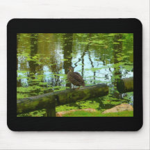 Mousepad Wild Duck
