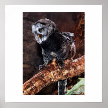 Mowl poster